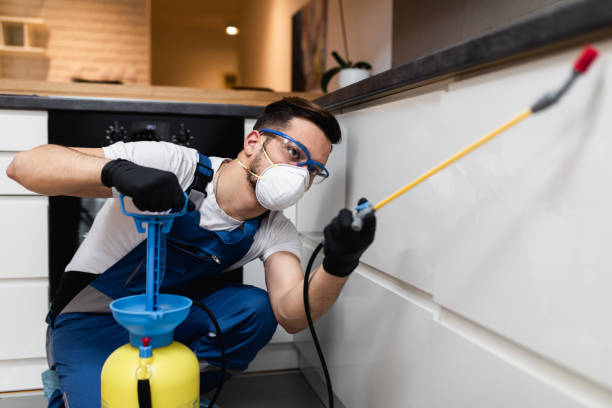 Best Local Pest Control Services  in Walce Ridge, LA