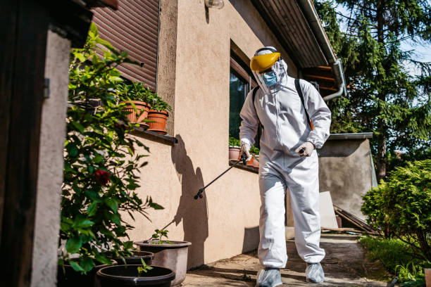 Professional Pest Control in Wallace Ridge, LA