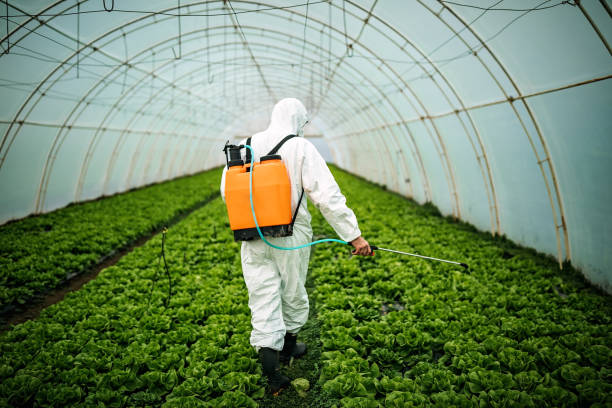 Best Pest Removal Services  in Walce Ridge, LA