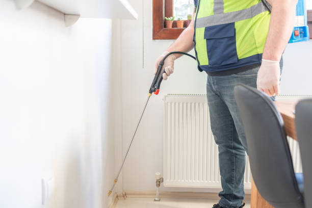 Best Affordable Pest Control Services  in Walce Ridge, LA