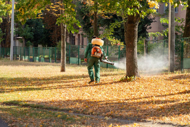 Best Mosquito Control Services  in Walce Ridge, LA