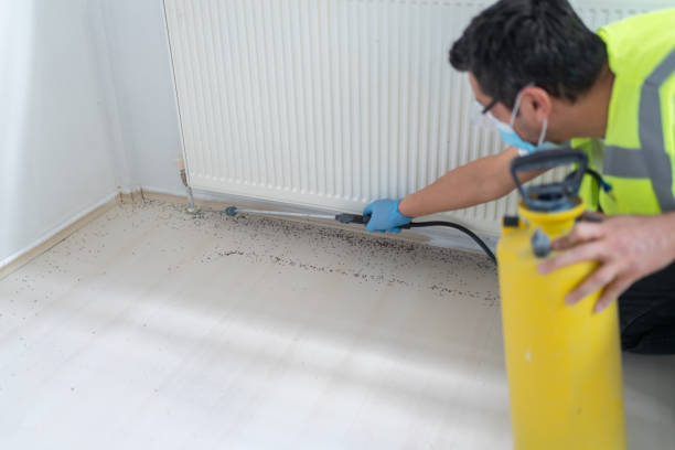 Best Pest Control Cost  in Walce Ridge, LA